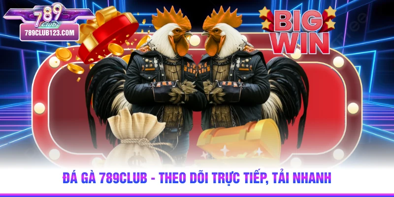 Đá gà 789club - Theo dõi trực tiếp, tải nhanh