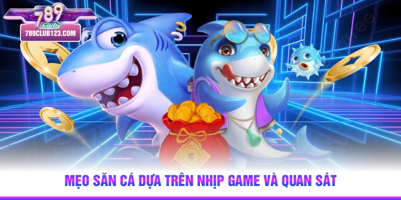 Mẹo săn cá dựa trên nhịp game và quan sát