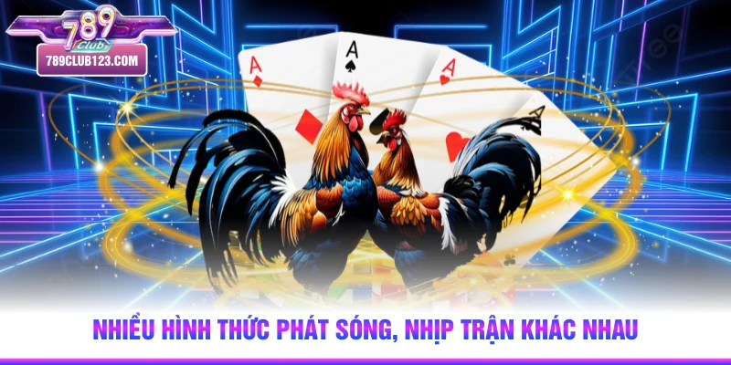 Nhiều hình thức phát sóng, nhịp trận khác nhau